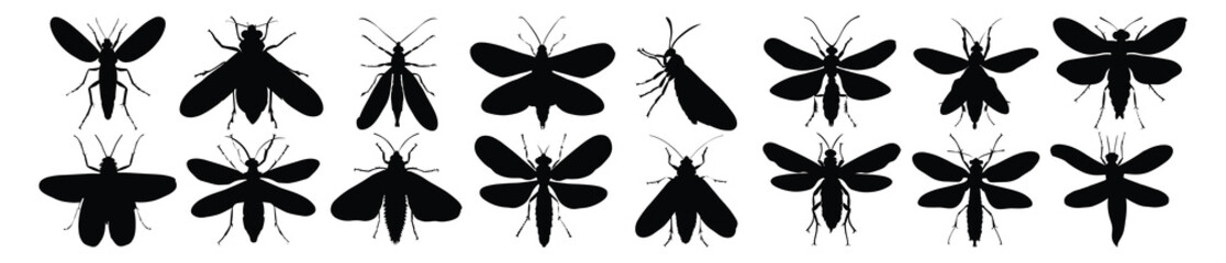 Bug silhouette set vector design big pack of illustration and icon
