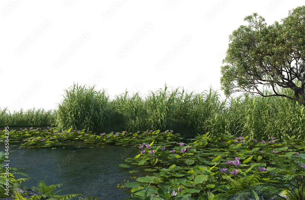 Canvas Prints 3d render swamp with plants and trees on transparent background.