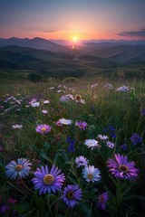 Fototapeta premium High mountain sunrise and wildflowers