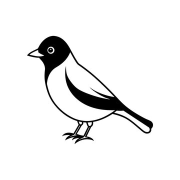 recommend clip art: a drawing  bird with a white background