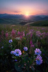 Fototapeta premium High mountain sunrise and wildflowers