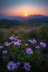 Obraz premium High mountain sunrise and wildflowers