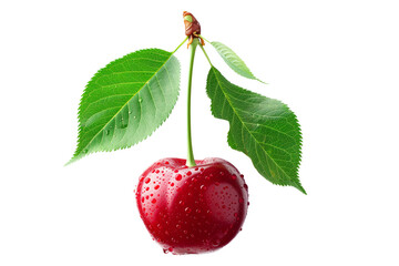 Fresh juicy cherry with green leaves isolated on a white background, Perfect for healthy snacks