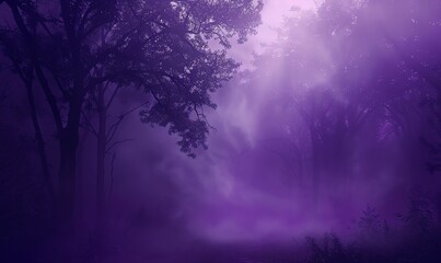Obraz premium Purple Haze in the Woods