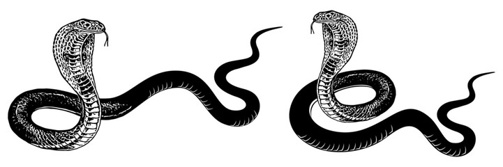 snake silhouette vector 