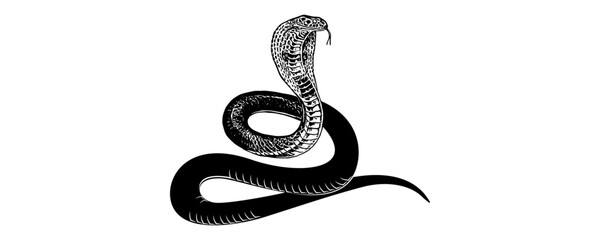 snake silhouette vector 