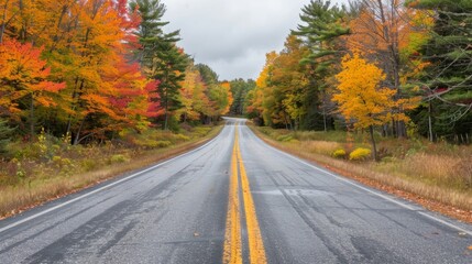 Obraz premium On each side of the highway the trees are ablaze with the fiery oranges yellows and reds of autumn. The road itself is lined with . AI generation.