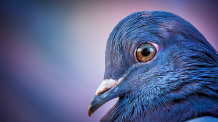 A close up of a blue bird with brown eyes and feathers, AI