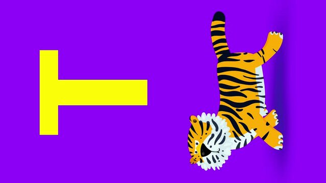 T letter big vertical color like tiger cartoon animation. Animal asian big cat loop. Educational serie with bold style character for children. Good for education movies, presentation, learning.