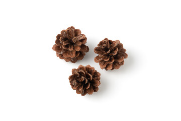 Three brown pine cones placed on a white background. The image captures the natural texture and...