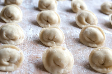 The raw dumplings were placed on a wooden cooking board, sprinkled with flour. The filling is minced meat, potatoes, cheese or cottage cheese. A semi-finished product, ready for cooking.