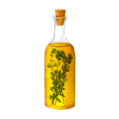 A bottle of fragrant olive oil with spices and thyme, watercolor hand painted, isolated on white background. It can be used for prints on textile and paper, for clothes, for plates and dishes design