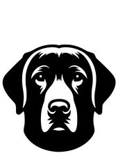Golden Retriever SVG, Dog SVG, Dog Breed SVG, Labrador SVG, Puppy SVG, Dog Face, Dog Head, Dog Silhouette, Golden Retriever Silhouette, Dog Clipart, Dog Cricut, SVG, JPG, PNG