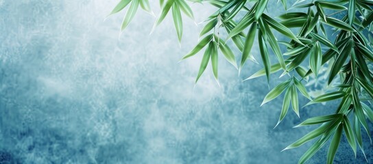 Gentle textured light blue backdrop adorned with graceful bamboo leaf motif.