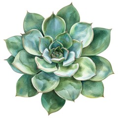 Vibrant watercolor clipart featuring a succulent plant isolated on a white background