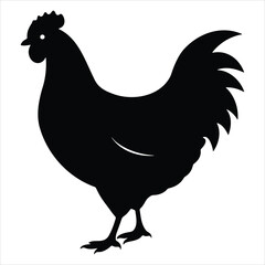 rooster isolated on white