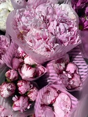 A bouquet of beautiful pink peonies