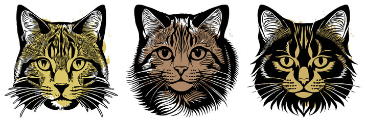 Fototapeta premium Cat . Animal illustration . Logo design, for use in graphics. Generated by Ai