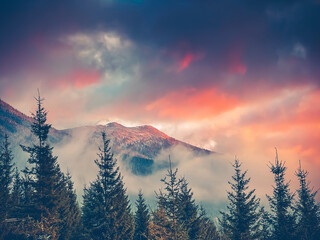 Drone shot mountain peak range in Carpathians, mist and fog in the warm glow of a setting sun. The sky is painted with vibrant shades of pink, orange, and purple. Wild nature beauty scene. Travel