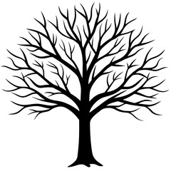Obraz premium Hand drawn tree without any leaf and any effect vector silhouette on white background