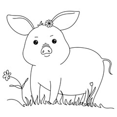 Hand drawing line of a pig on grass field isolated on transparent background. vector doodle illustration