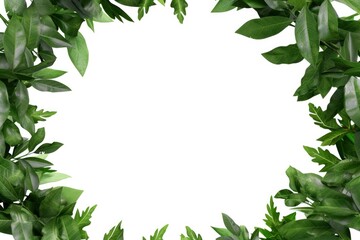 Fototapeta premium A frame composed of green leaves creates a natural, vibrant border against a white backdrop