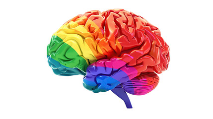 Colorful brain on a transparent background