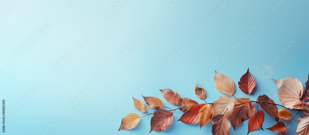 Poster Various autumn leaves gently cascading on a soft light blue backdrop with ample copy space image.