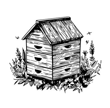 recommend clip art: Bee hive, vector sketch illustration, hand drawn, black outline