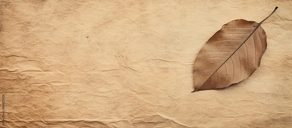 Aufkleber detailed shot of leaf on textured handmade paper with copy space image.