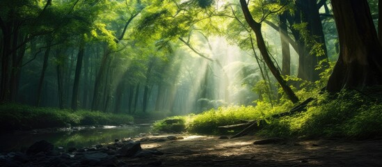 A picturesque nature scene in a lush forest with sunlight filtering through the green canopy creating a peaceful ambiance, ideal for ecotourism with a wide copy space image.