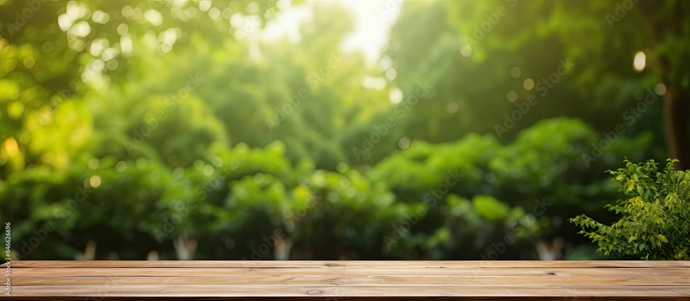 Aufkleber Wooden table set in outdoor garden with blurred green trees providing a natural backdrop, creating an ideal product display template with copy space image.