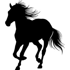 Andalusian Horse png image