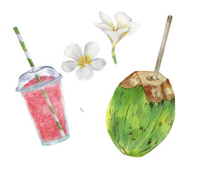 Watercolor tropical set with summer coctails and flowers. Hand drawn red pink summer slushies in plastic cup, green coco with straws and realistic exotic plants. White Plumeria (Frangipani) flowers.