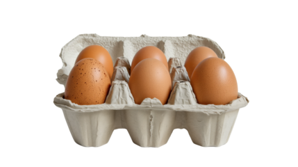 Eggs on a transparent background