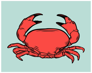 Red Fresh crab vector style 