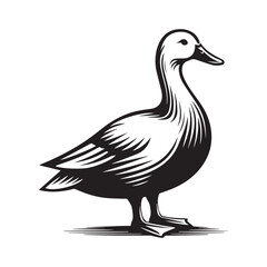 Simple Duck Silhouette Vector