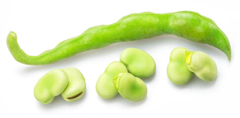 Green young broad bean pod and several broad beans near its isolated on white background.