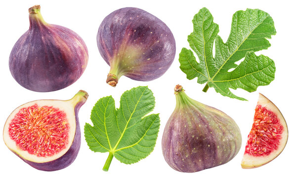 Set of fig fruits, fig leaves and slices of fig on white background. File contains clipping paths.