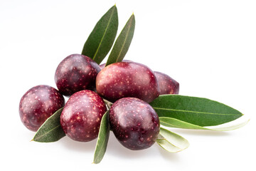 Semi-ripe olive berries on olive twig on white background.