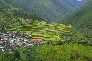 bay-yo terraces on bontoc mountain province philippines