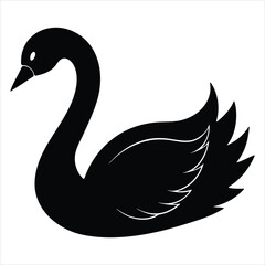 black swan vector