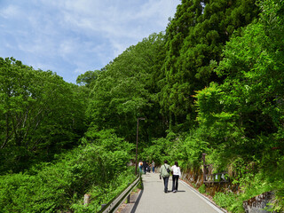 Fototapeta premium 初夏の観光地白川郷の風景と観光客の姿