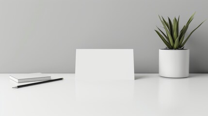 Modern Office Essentials Stylish Blank Business Cards and Succulent Plant on White Desk