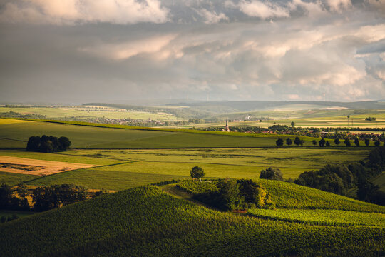 R&ouml;mischer Begr&auml;bnisplatz Greifenberg bei Sulzheim, Juni 2024