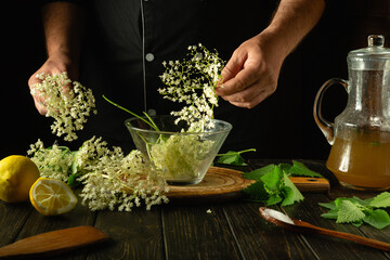 Adding elder flowers to a glass container with mint before making a cold drink or kvass. The...