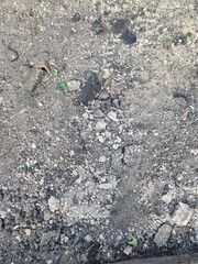 dump in the ground