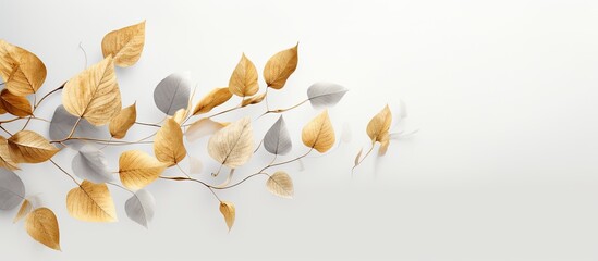 A man is trail running in the rocky mountains, depicting an adventurous outdoor activity with copy space image for skyrunning and healthy lifestyle in summer vacations.