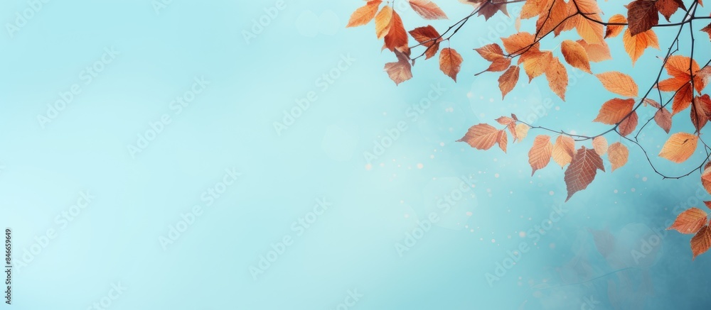 Poster Various autumn leaves gently cascading on a soft light blue backdrop with ample copy space image.