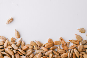 Background of peeled sunflower seeds
